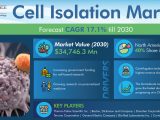 Cell Isolation Market