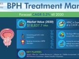 BPH Treatment Industry