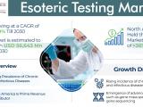 Esoteric Testing Industry