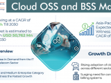 Cloud OSS BSS Market